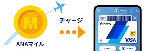 ANAマイルをANA Payへチャージすると有効期限が延長される。例として、有効期限が2026年9月30日までのANAマイルが、チャージ後はANA残高として2030年9月30日まで有効となる。