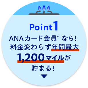 Point1 ANAカード会員*1なら！料金変わらず年間最大1,200マイルが貯まる！