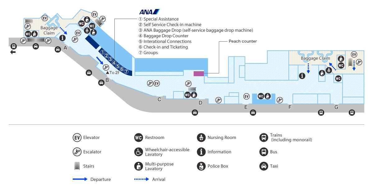 A special assistance counter is located on the 1st floor (departures/arrivals floor) at counter 1 for ANA Japan domestic flights.