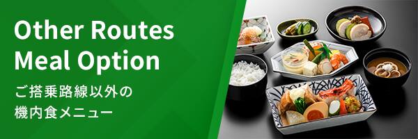 Other Routes Meal Option ご搭乗路線以外の機内食メニュー