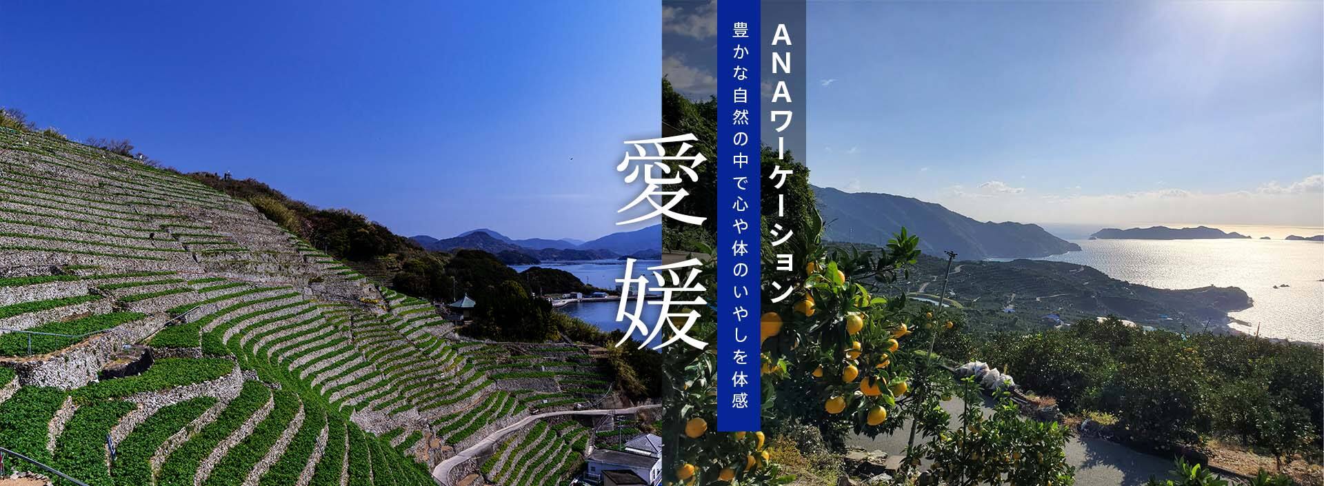 ANAワーケーション三重