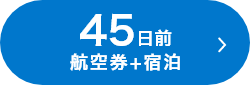 45日前 航空券+宿泊