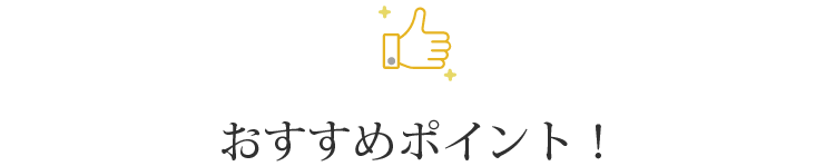おすすめポイント！