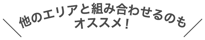 他のエリアと組み合わせるのもオススメ！