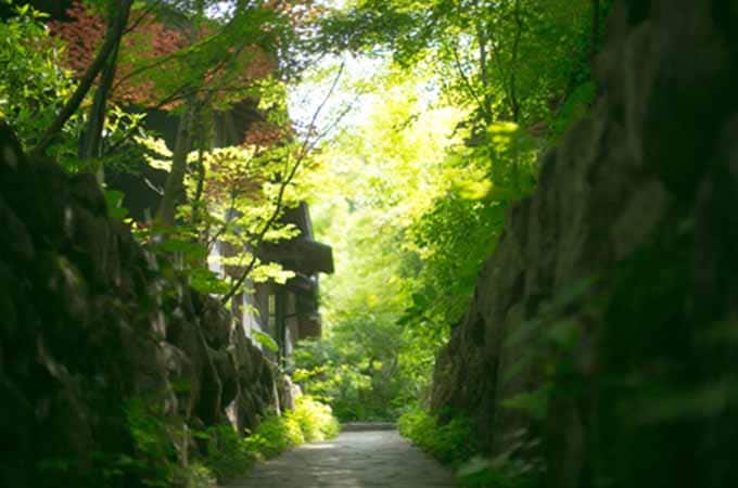 散策(イメージ)