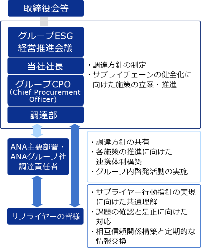 調達における推進体制の構成図。上段：取締役会等、グループESG経営推進会議、社長、グループCPO、調達部。役割は調達方針の制定やサプライチェーン健全化の施策の立案・推進。中段：ANA主要部署・ANAグループ社 調達責任者。役割は調達方針の共有、各施策の推進に向けた連携体制構築、グループ内啓発活動の実施。下段：サプライヤーの皆様。役割は行動指針の共通理解、課題確認と是正に向けた対応、相互信頼関係構築と情報交換。各層の間は双方向の矢印で結ばれ、密接な連携が必要であることを示しています。