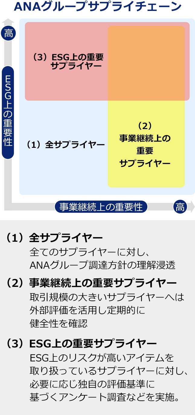 ANAグループサプライチェーンにおけるサプライヤーの分類を示したマトリックス図です。縦軸に「ESG上の重要性」、横軸に「事業継続上の重要性」をとり、以下の3つの区分で管理方針を説明しています。（1）全サプライヤー: 全てのサプライヤーに対し、グループ調達方針の理解浸透を図ります。（2）事業継続上の重要サプライヤー: 取引規模の大きいサプライヤーへは外部評価を活用し定期的に健全性を確認します。（3）ESG上の重要サプライヤー: ESGリスクが高いアイテムを扱っているサプライヤーに対し、必要に応じ独自の評価基準に基づいたアンケート調査などを実施します。