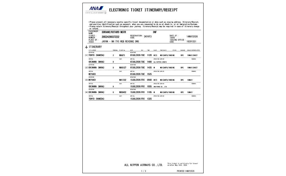 e-ticket itinerary/receipt for infants