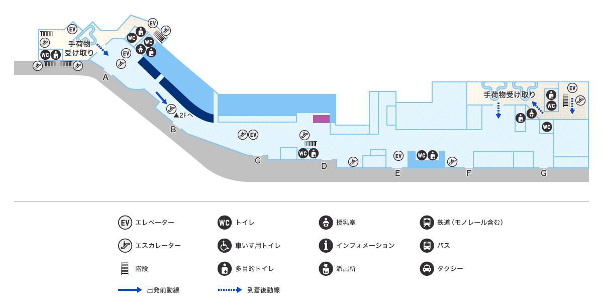 MAP画像
