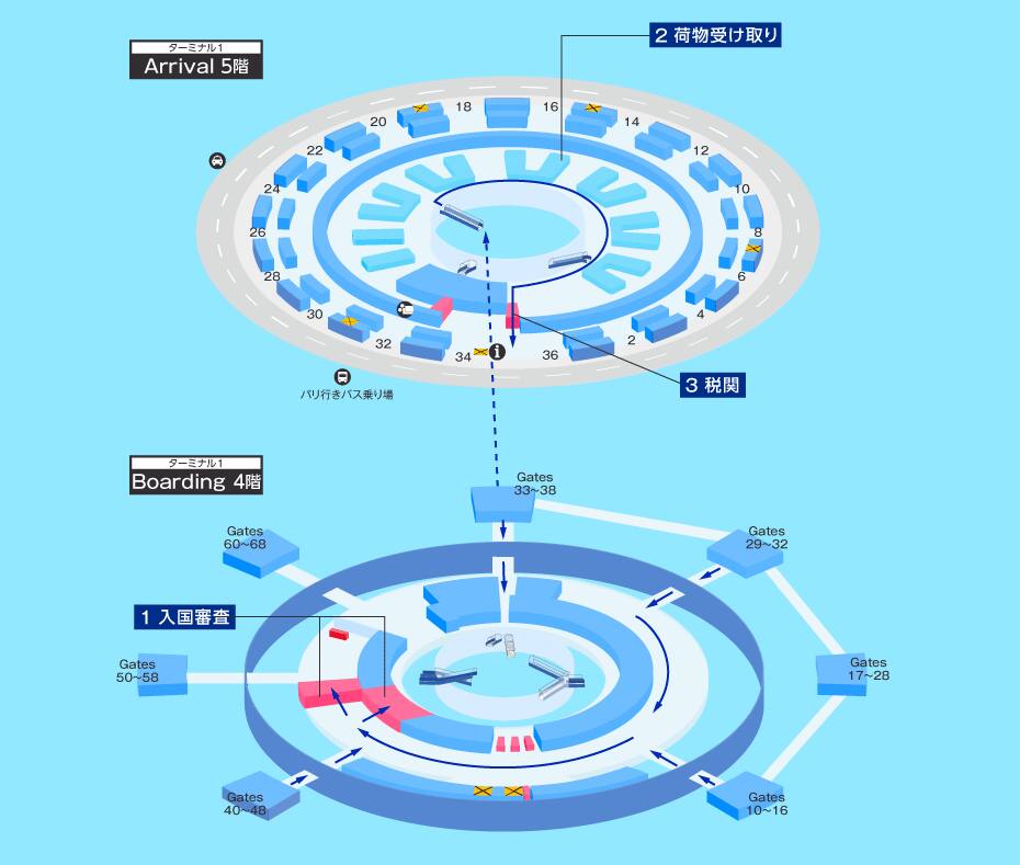 MAP画像
