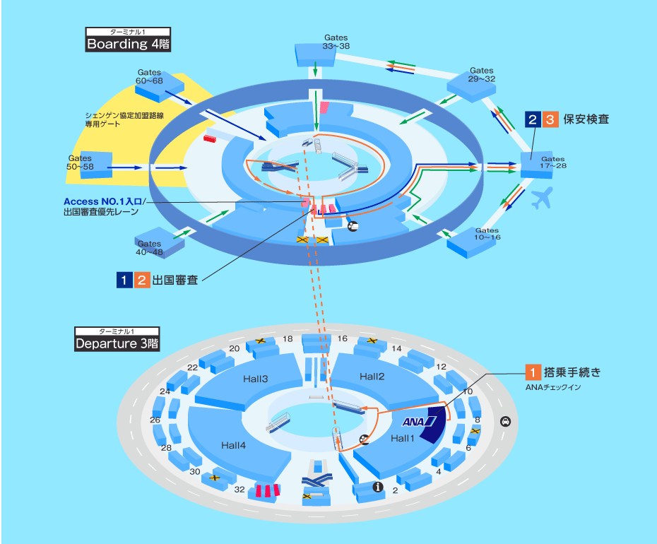 MAP画像