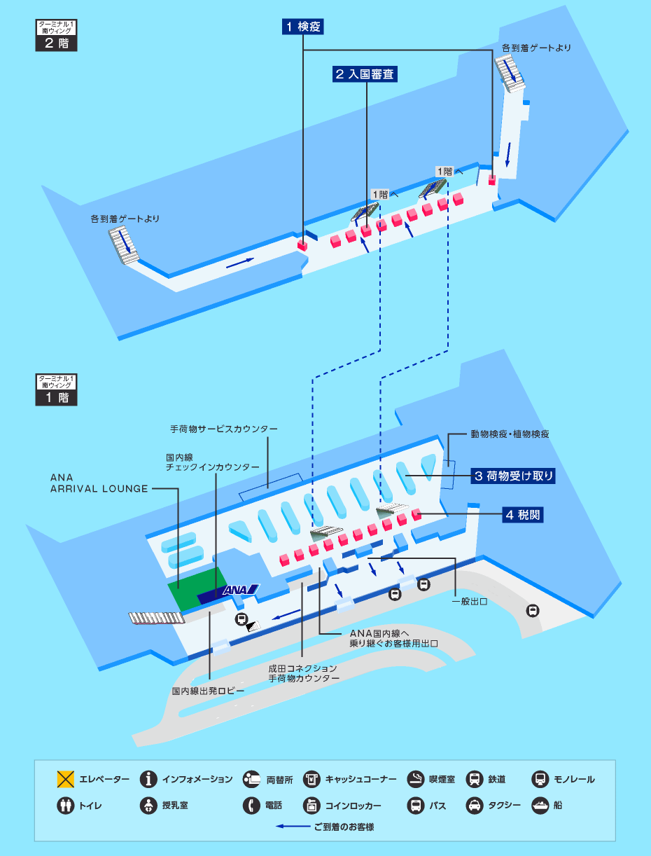 MAP画像