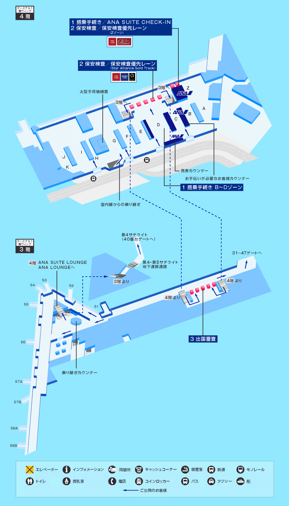 MAP画像