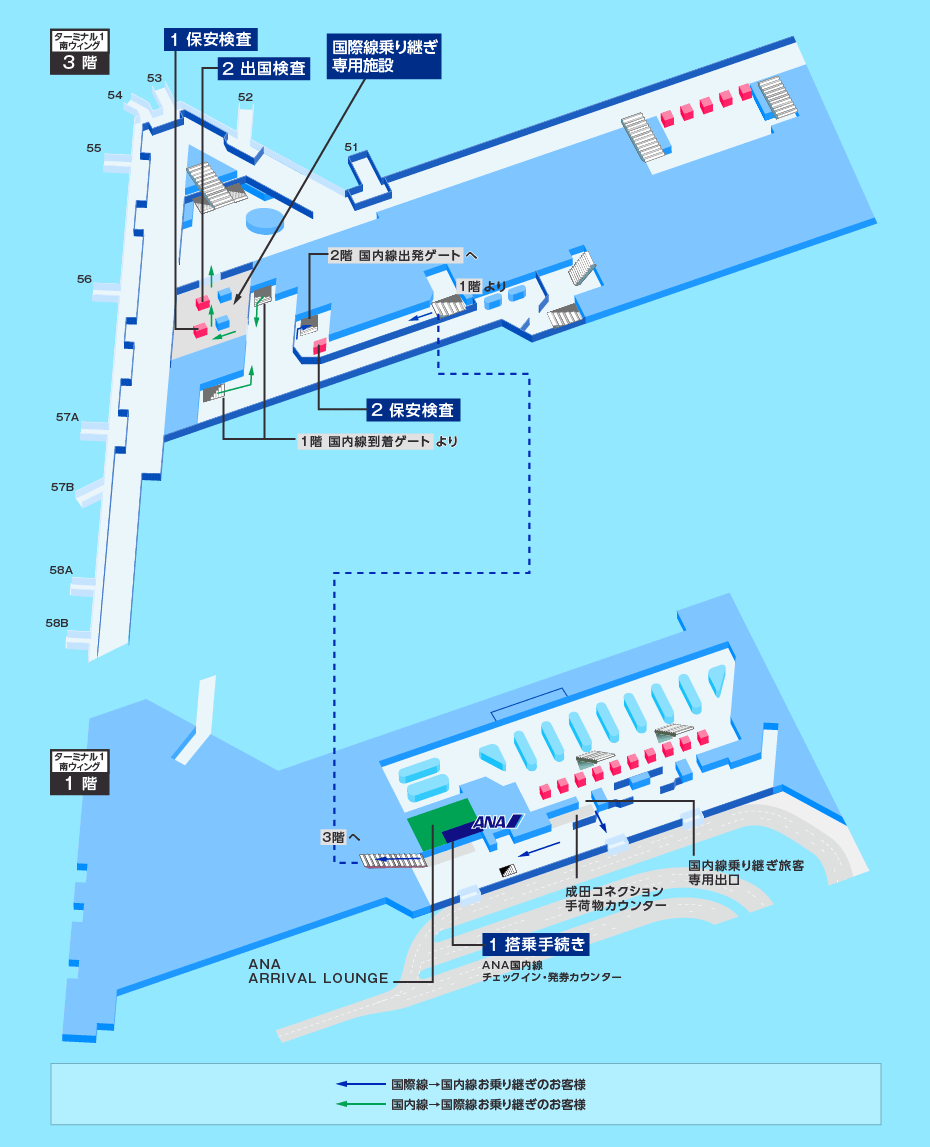 MAP画像