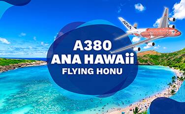 A380 ANA HAWAii FLYING HONU
