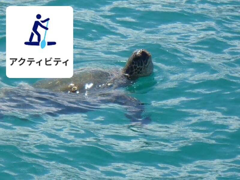 アクティビティ