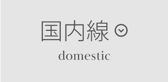 国内線 domestic