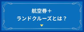 航空券+ランドクルーズとは？