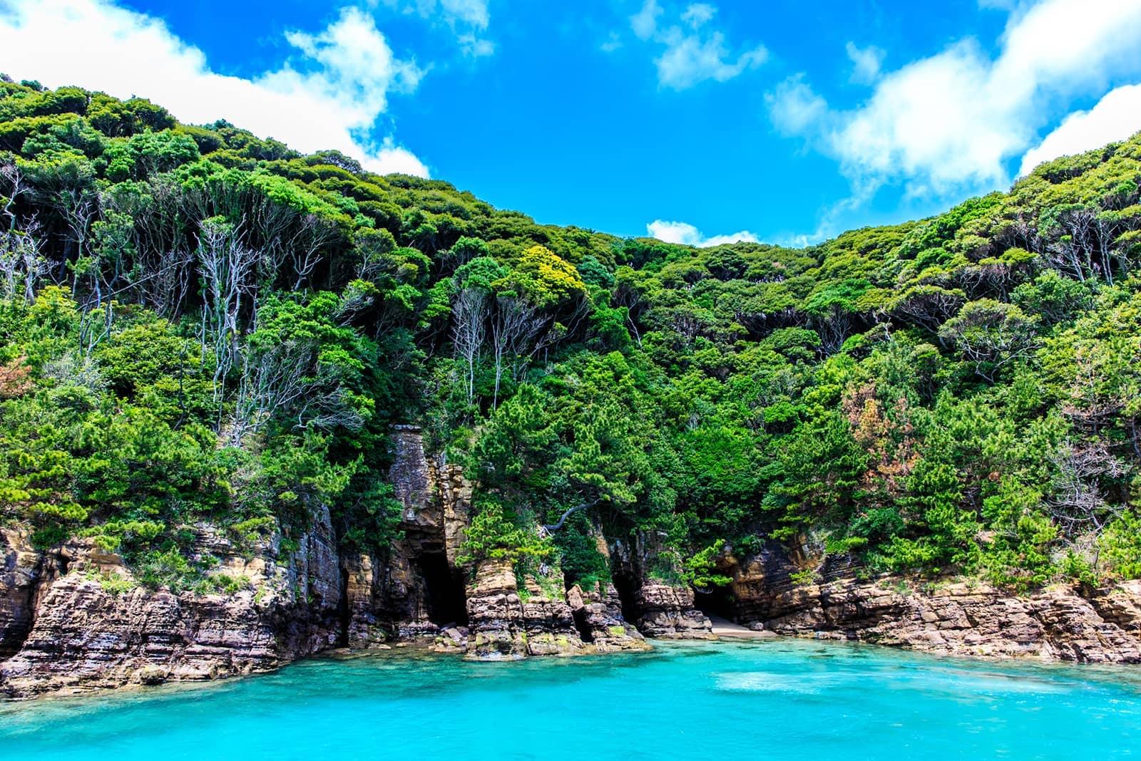 (photo) 壹岐：辰之島 6