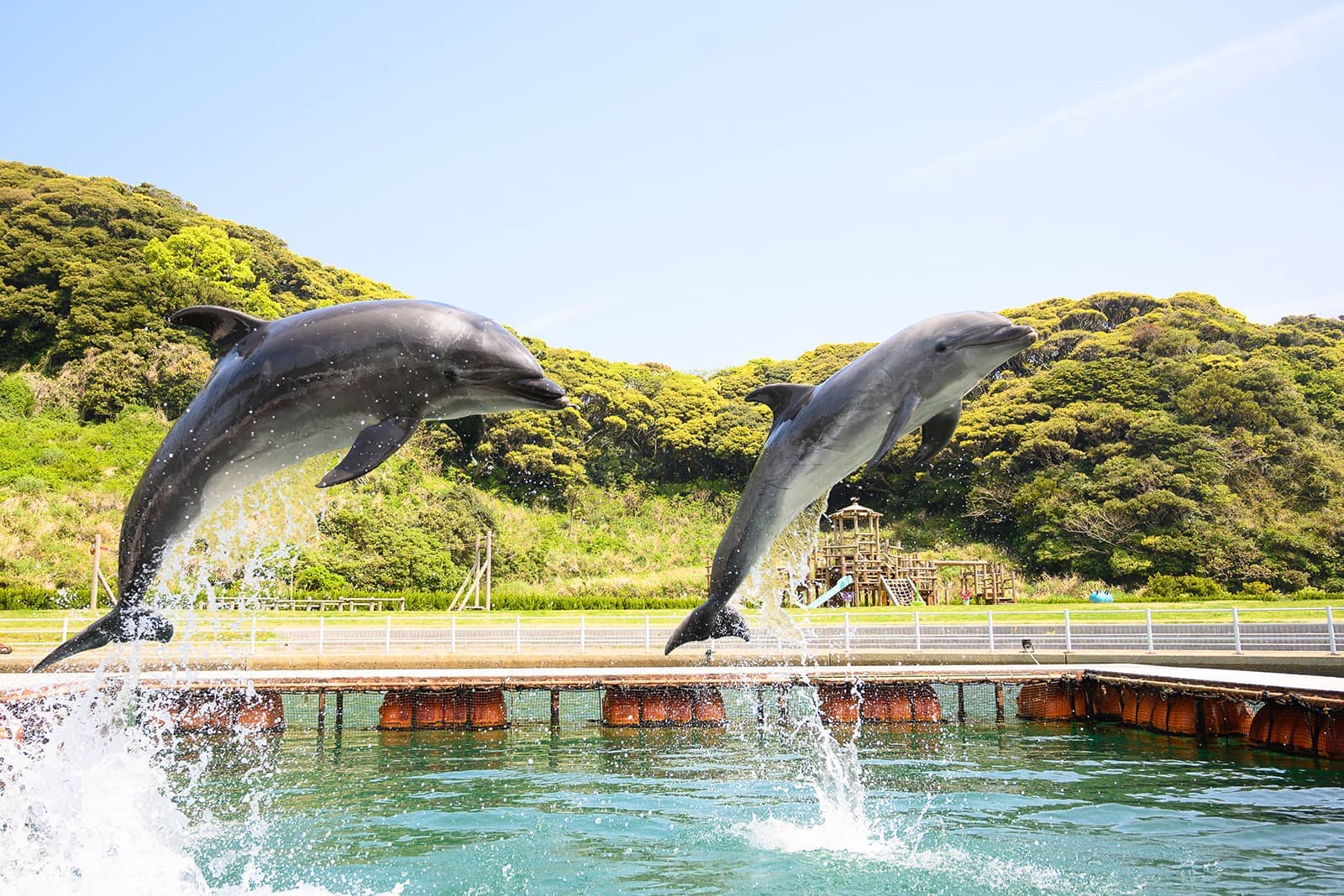 (photo) 壹岐海豚公園及渡假村 1