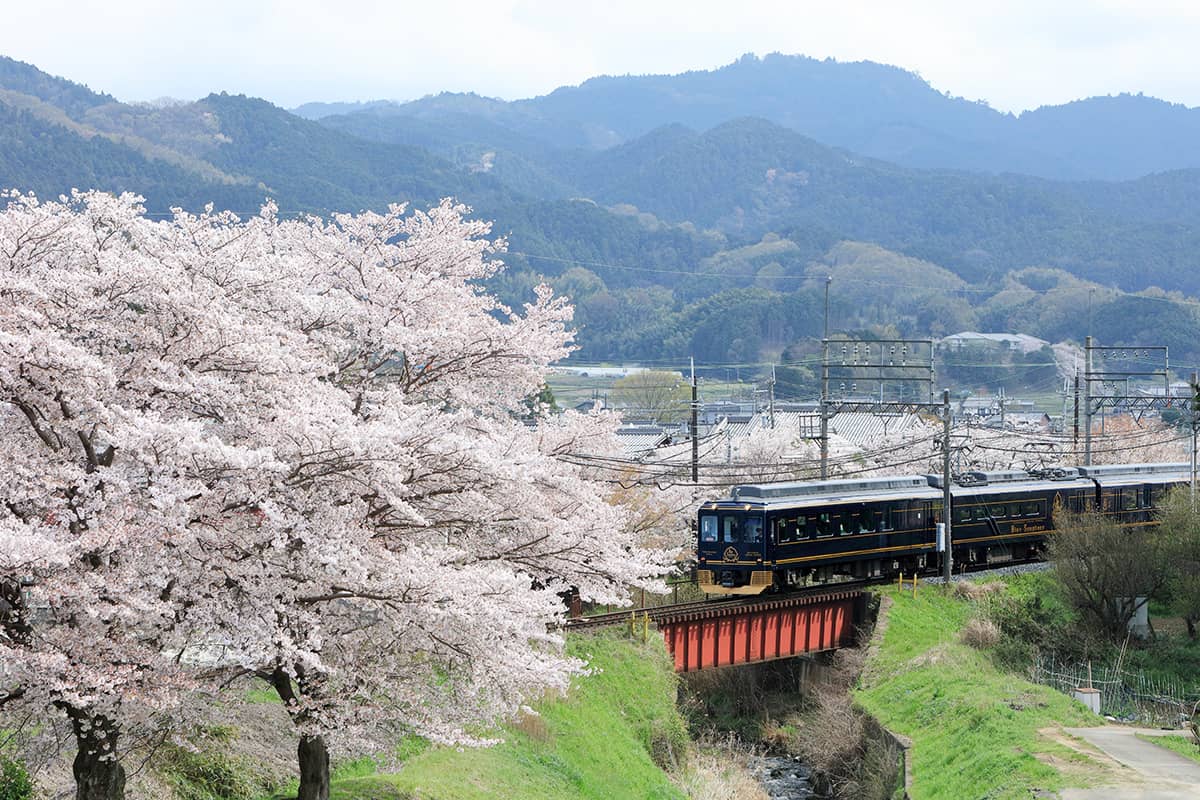 (photo) Blue Symphony limited express sightseeing train 5