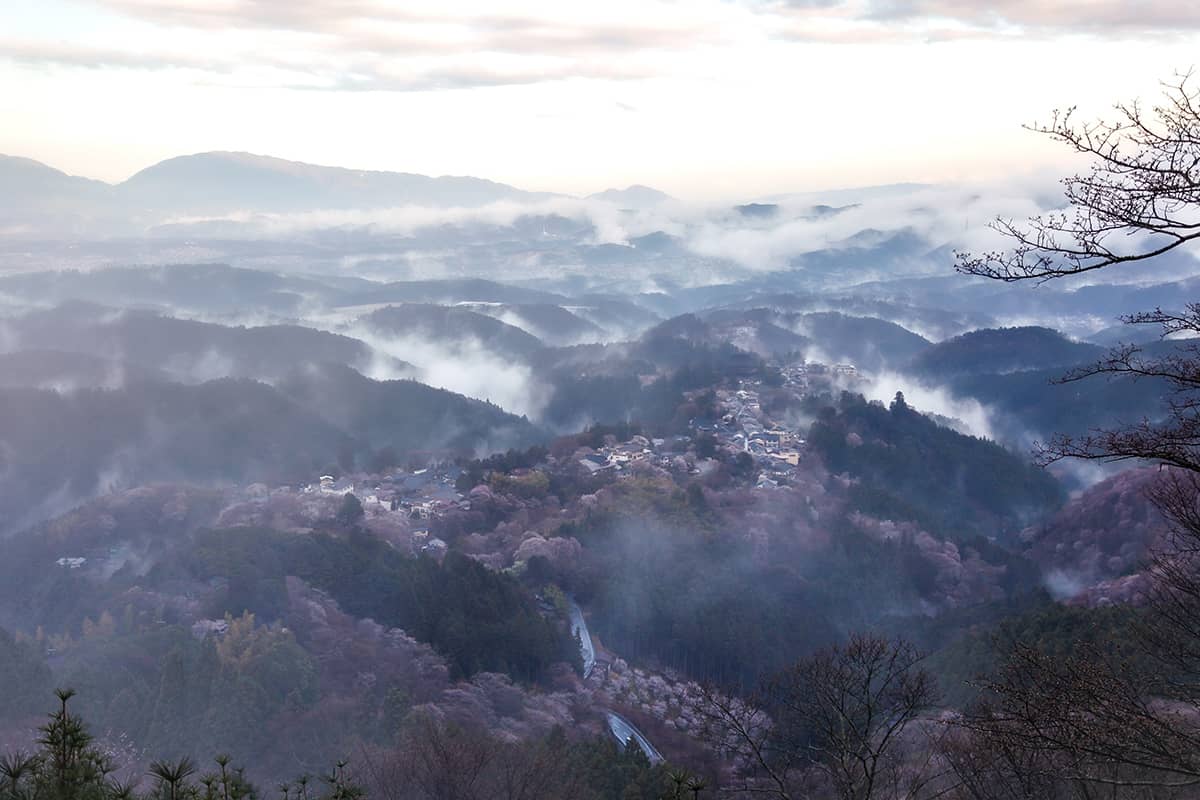(photo) Hanayagura View Point 1