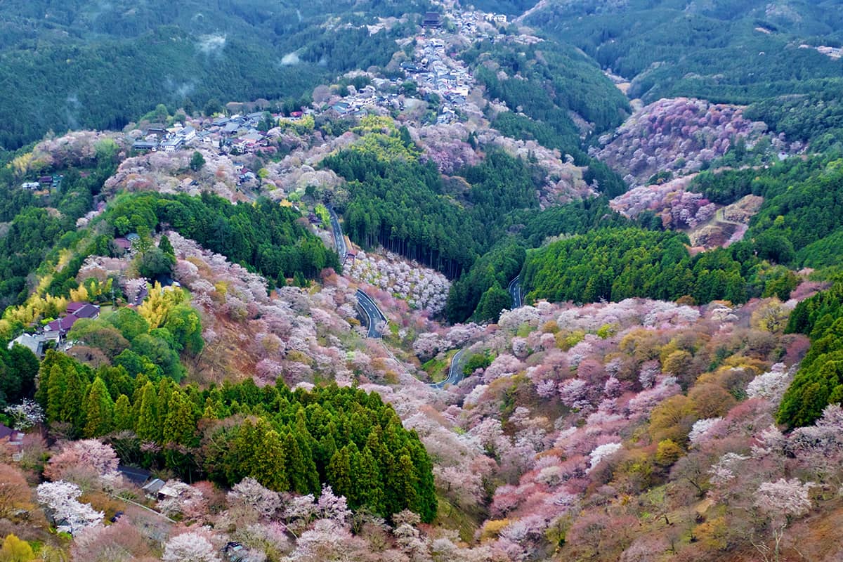 (photo) Hanayagura View Point 2