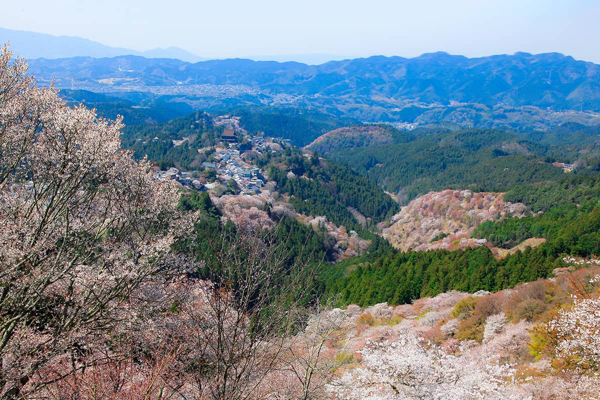 (photo) Hanayagura View Point 5