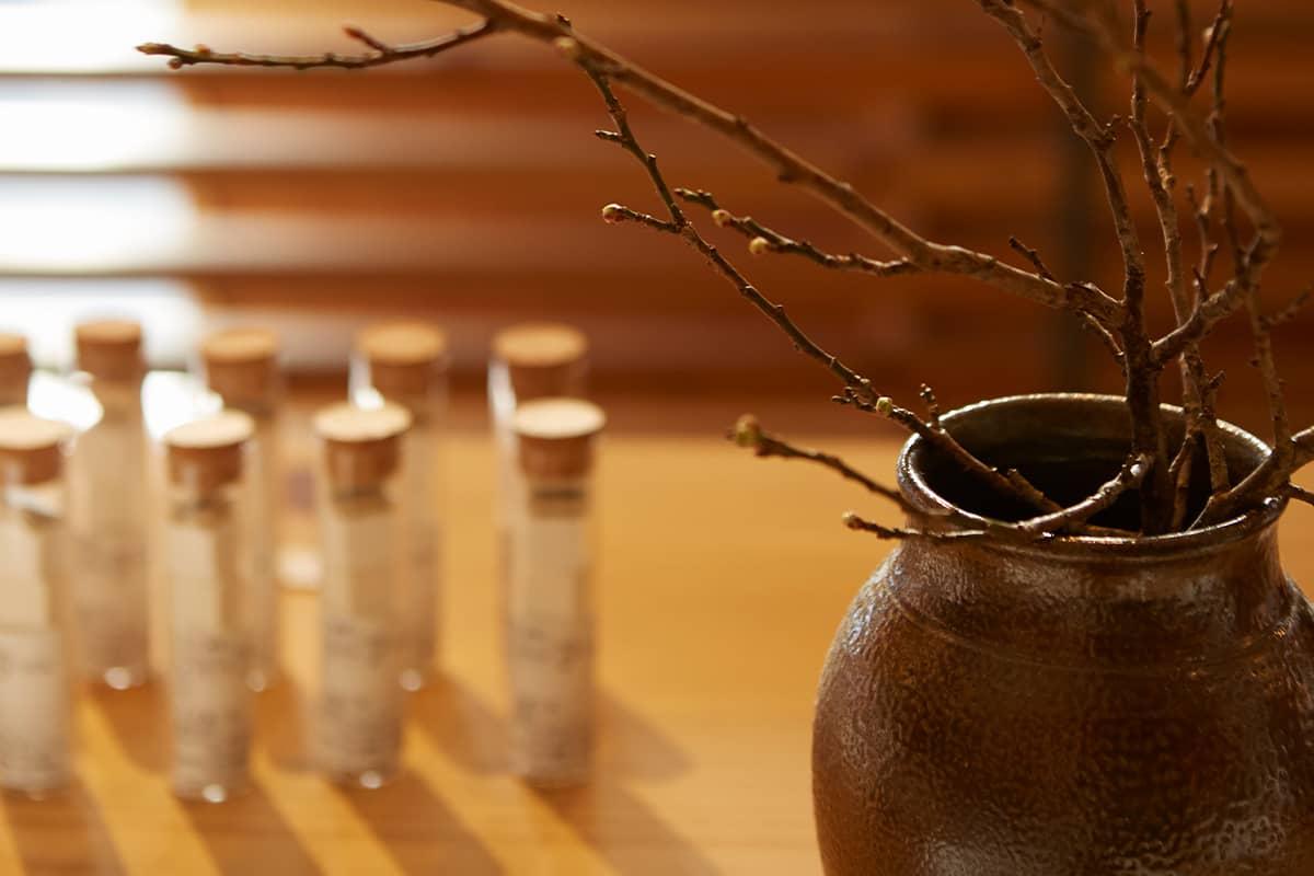 (photo) TSUJIMURA & Café Kiton 6