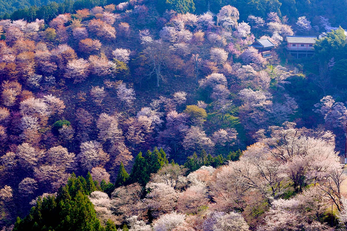 (photo) Scenic Inn Hounkan 6