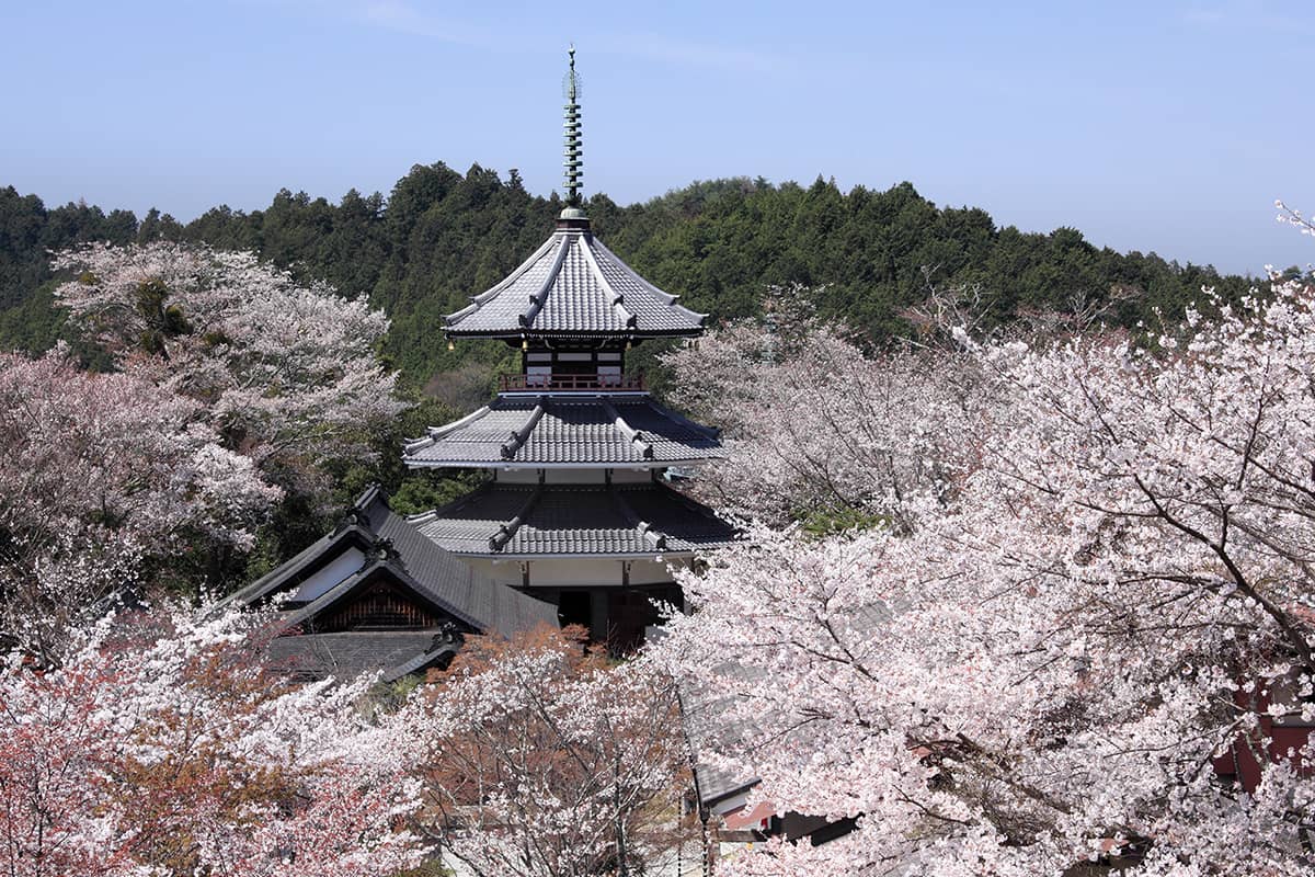 (photo) Kimpusen-ji Temple (Zao Hall) 3