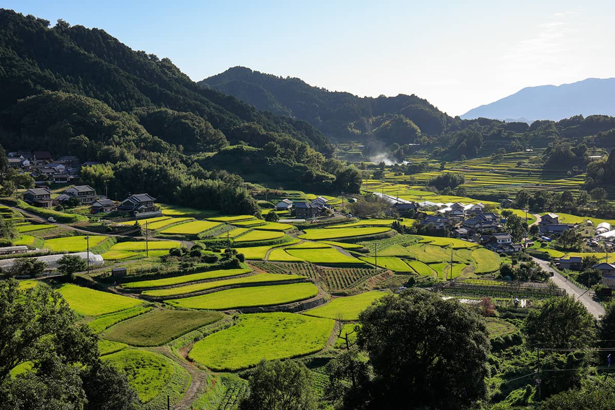 (photo) Asuka Village 1