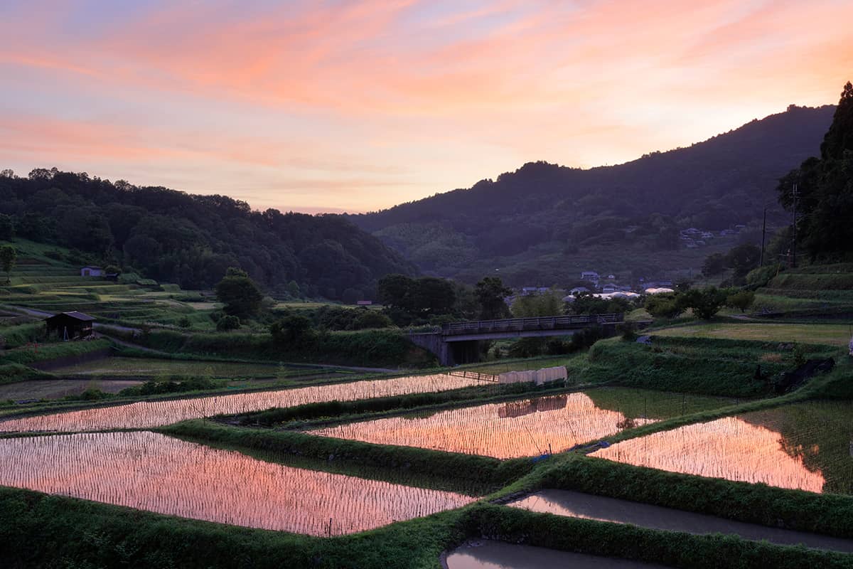 (photo) Asuka Village 3