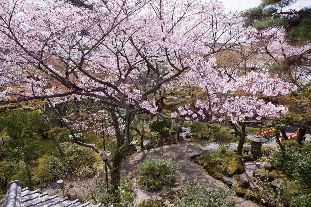 (photo) Hyakurakusou 4