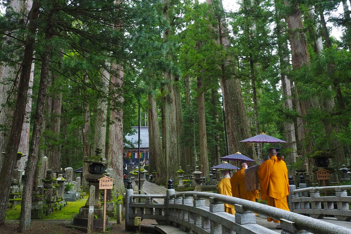 (photo) Okuno-in Cemetery 1