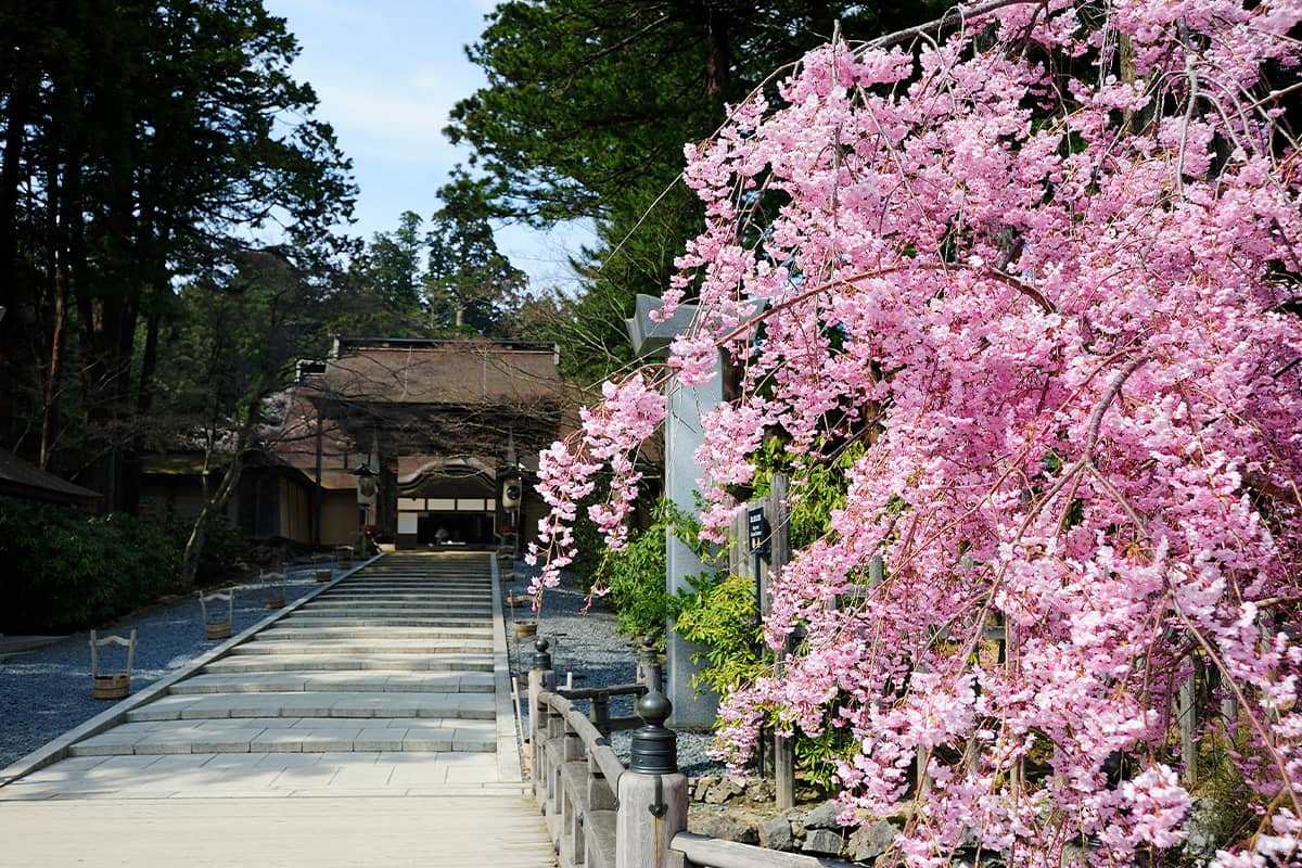 (photo) Kongobu-ji Head Temple 5