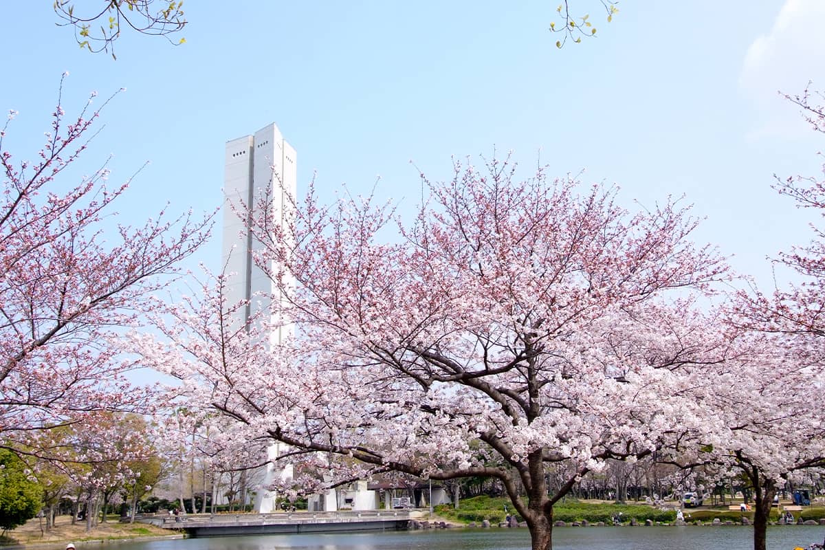(photo) Nintoku-tenno-ryo Kofun and Daisen Park 4