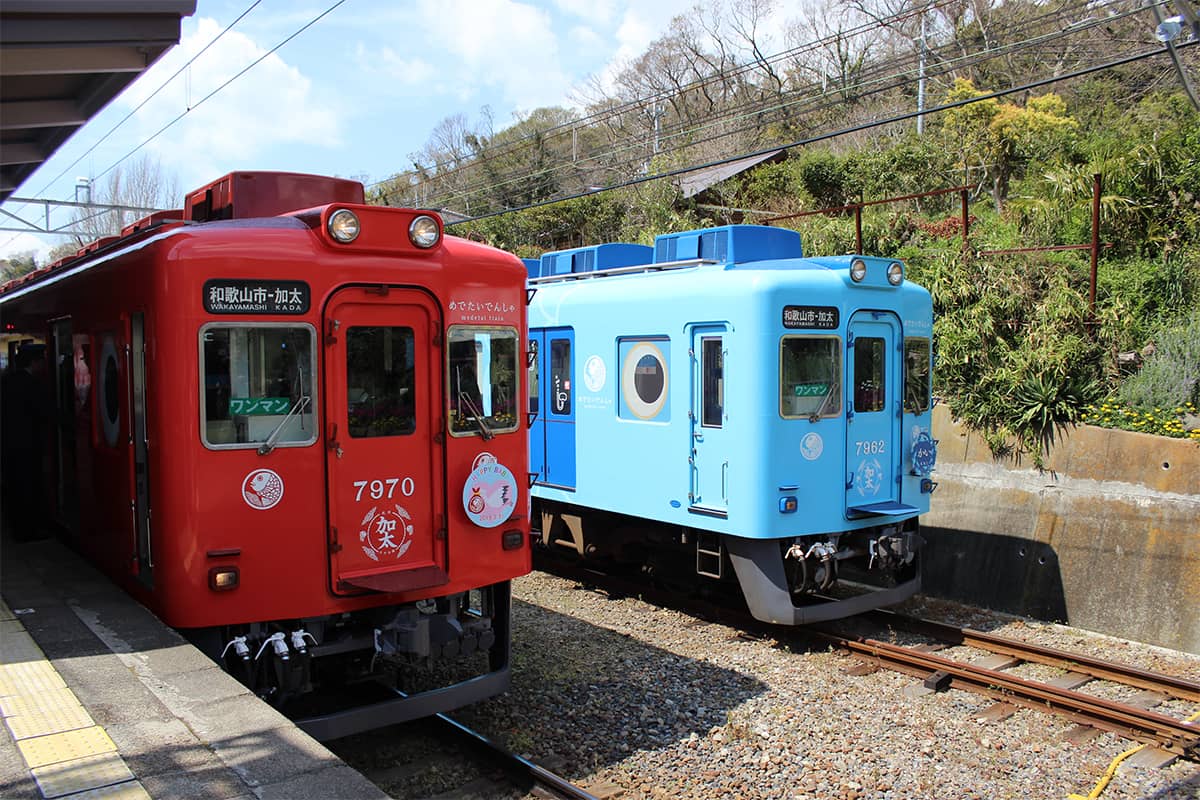 (photo) The Medetai Train on the Kada-Sakana Line 1