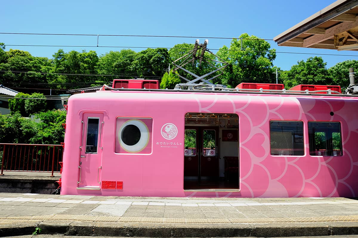 (photo) The Medetai Train on the Kada-Sakana Line 3