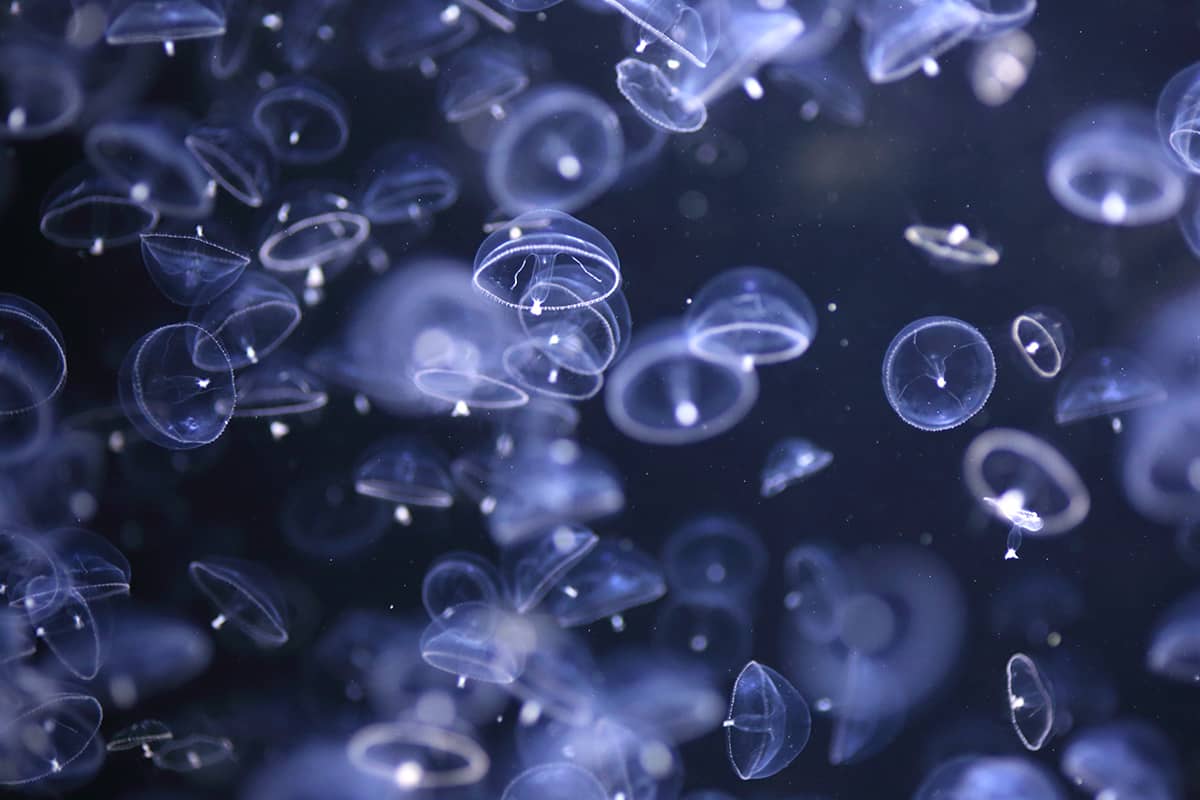 (photo) Kamo Aquarium 2