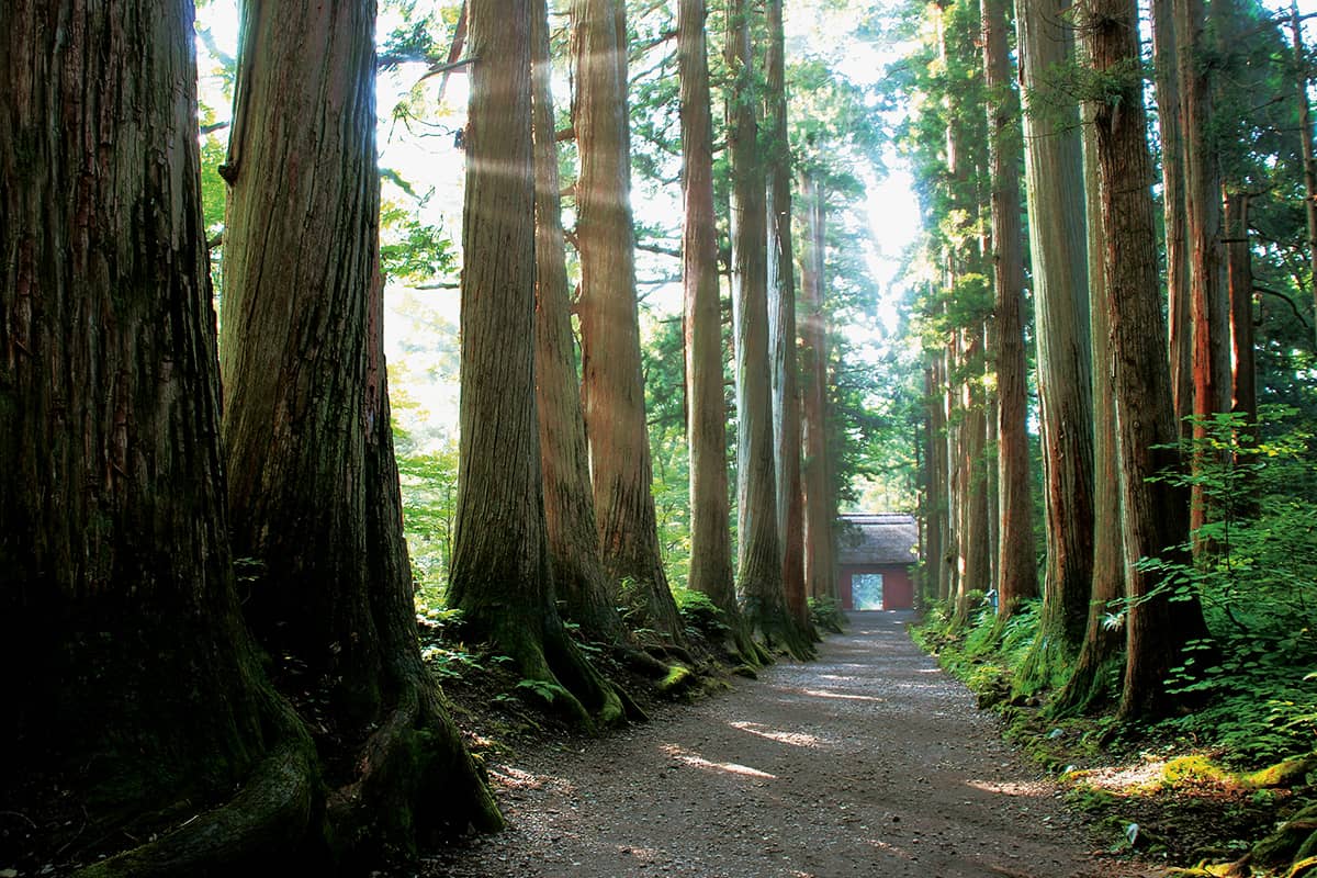 (photo) Togakushi Shrine 1