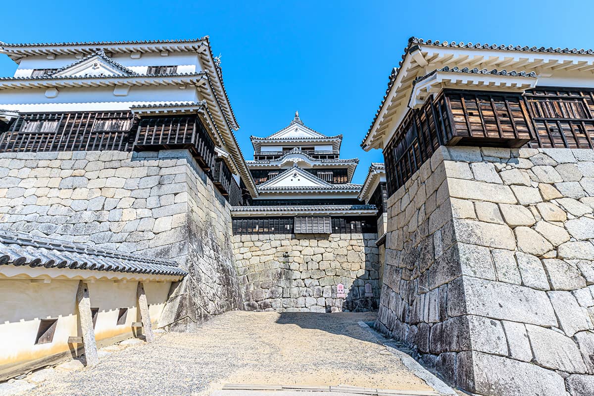 (photo) Matsuyama Castle 2