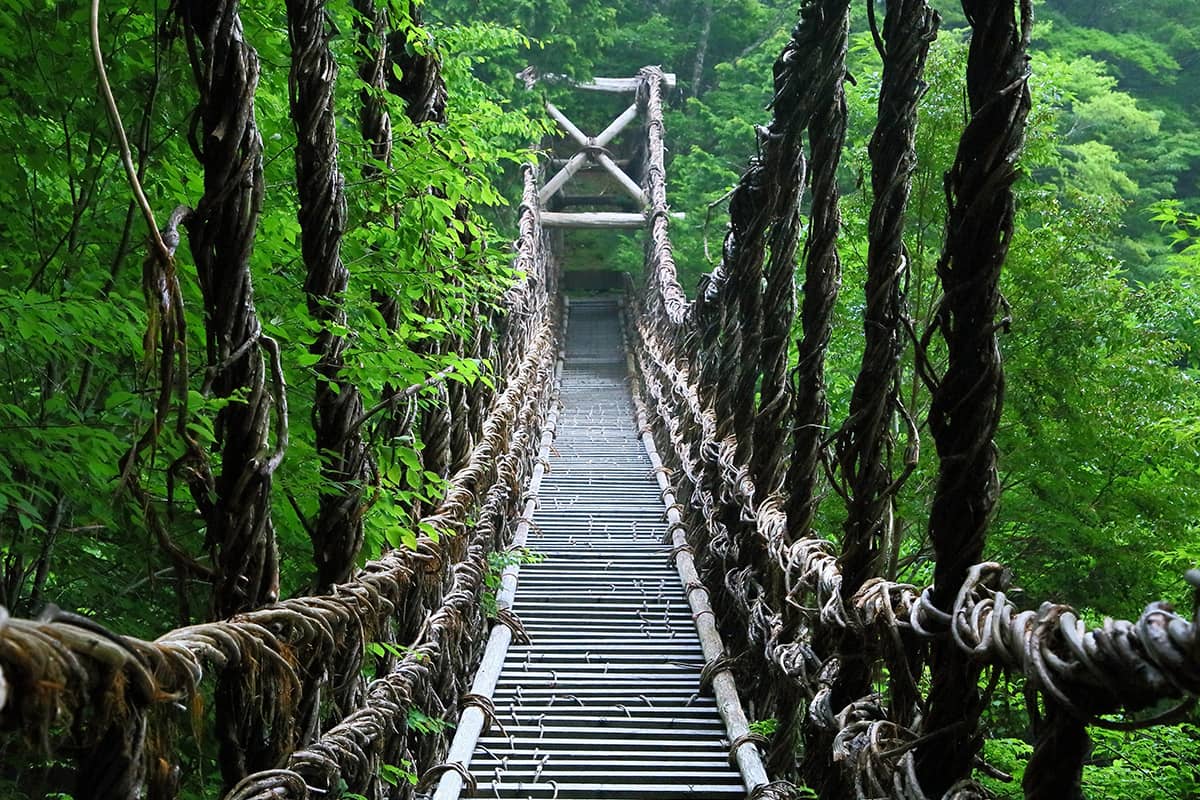 (photo) Iya Valley and Iyanokazura Bridge 2