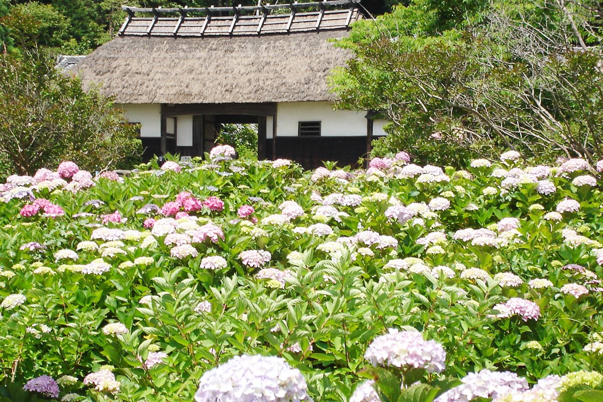 (photo) Ogane's Residence 2
