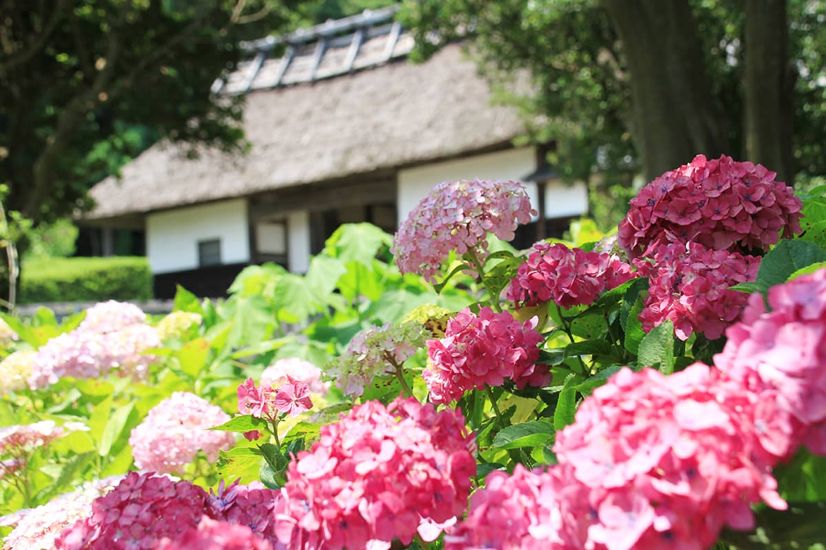 (photo) Ogane's Residence 3