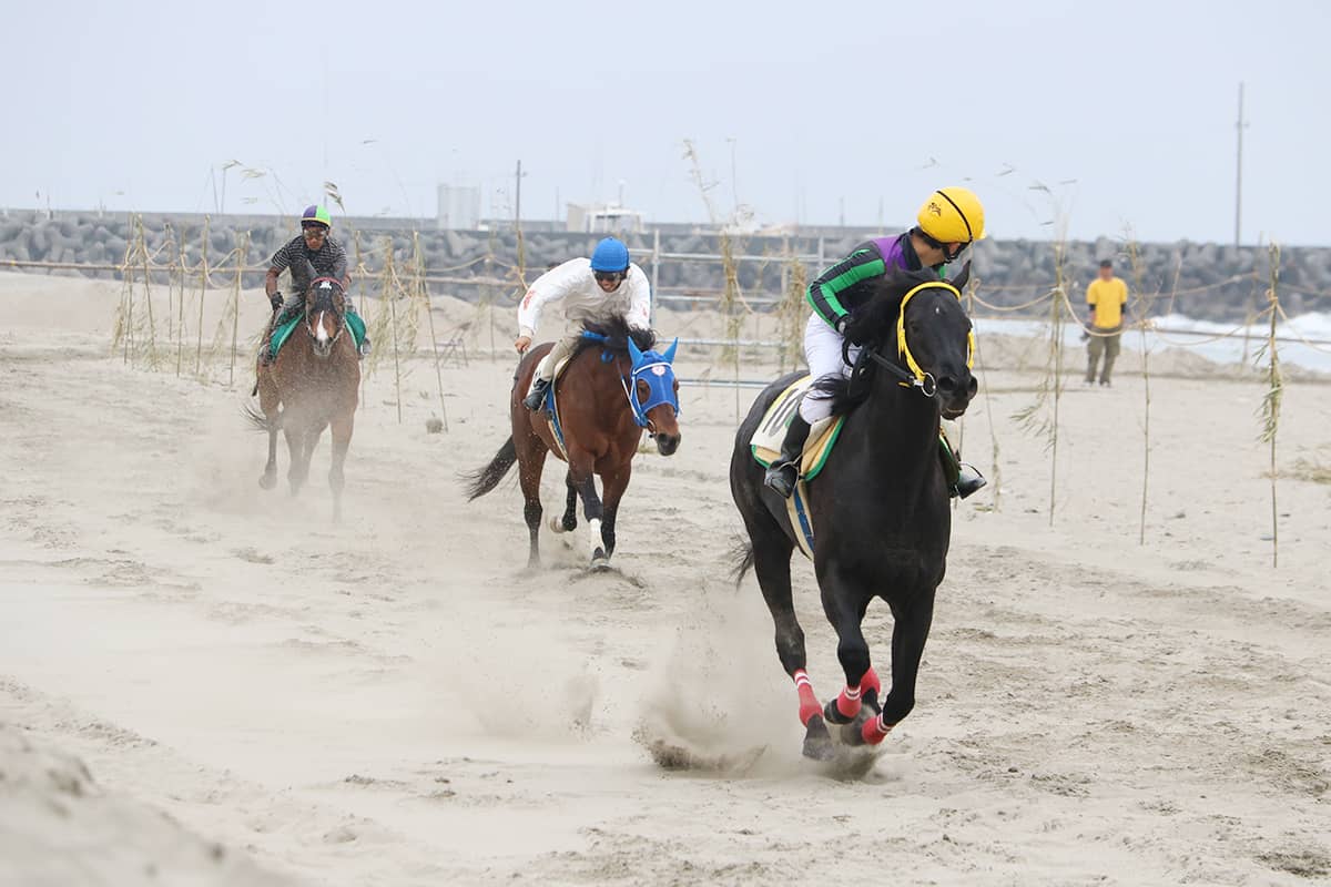 (photo) Sagara Sun Beach 4