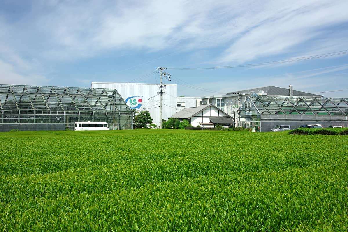 (photo) Grinpia Makinohara 2