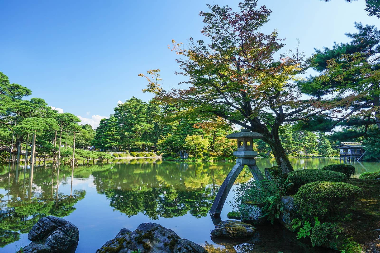 (写真) 兼六園 1