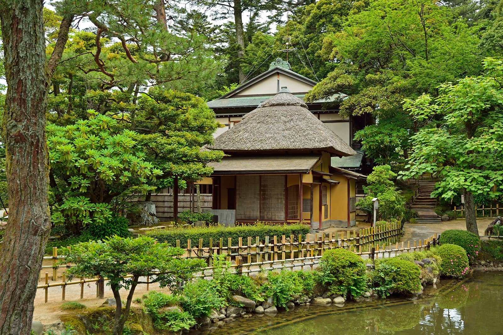 (写真) 兼六園 3