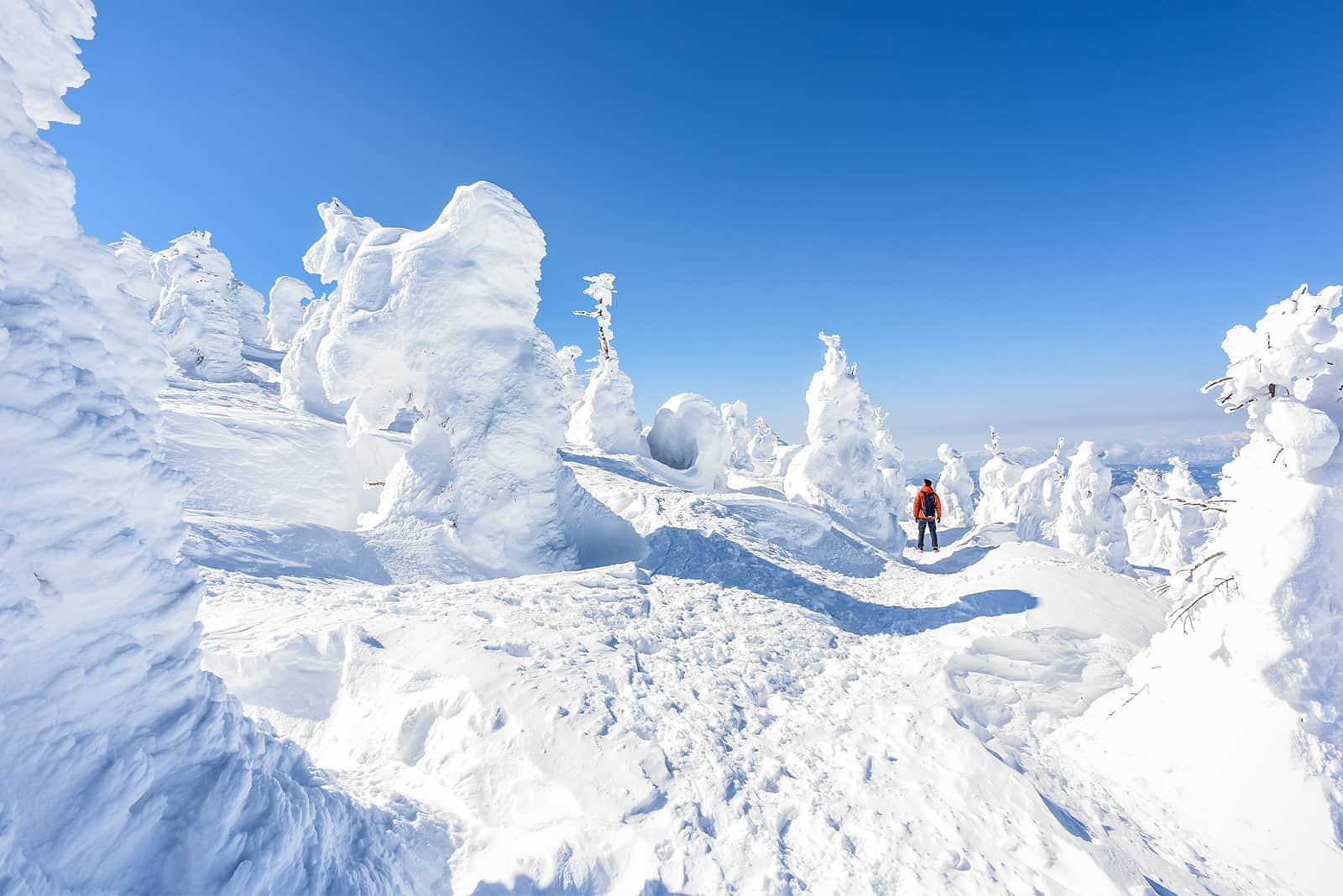 (photo) Mount Zao 1